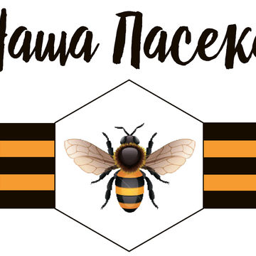 Разработанный логотип для компании Наша Пасека
