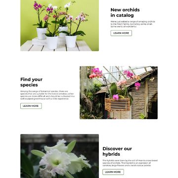 Главная страница интернет-магазина комнатных растений