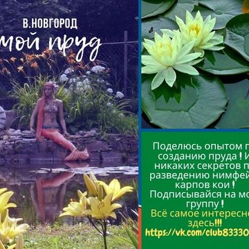 моя работа
