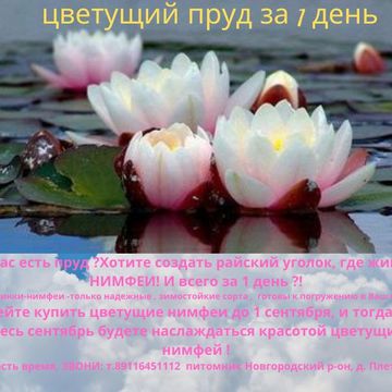 моя работа