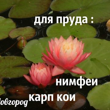 моя работа