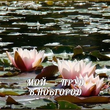 моя работа
