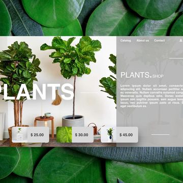 Plants.shop
