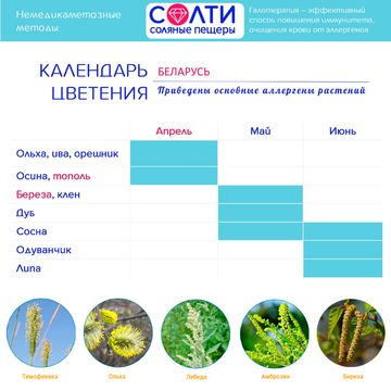 Инфографика