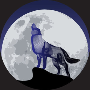 wolf