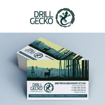 Логотип и визитка &quot;Drill Gecko&quot;