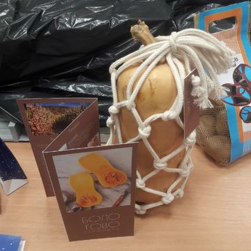 Упаковка тыквы и буклет для "Болотово"