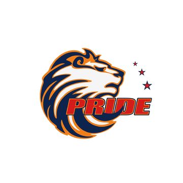 Логотип команды юниоров PRIDE, ЧИР центра, г. Челябинск