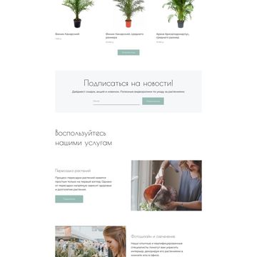 Интернет-магазин пальмовых и цифровых деревьев, дизайн с нуля