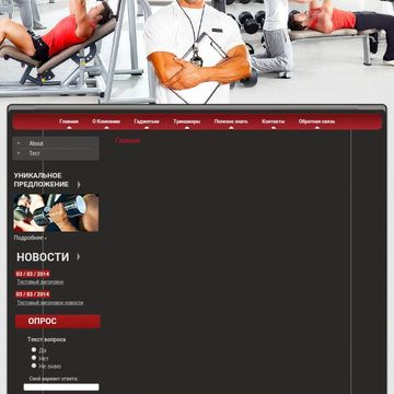 Дизайн раздела сайта по продаже товаров для спортзалов