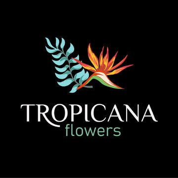 Логотип | TROPICANA