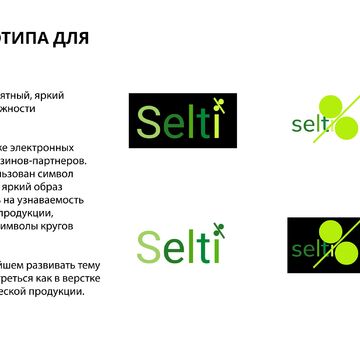 Разработка логотипа для компании SELTI
