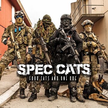 Spec Cats