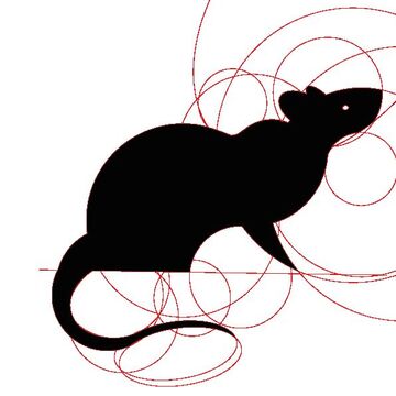 символ крыса