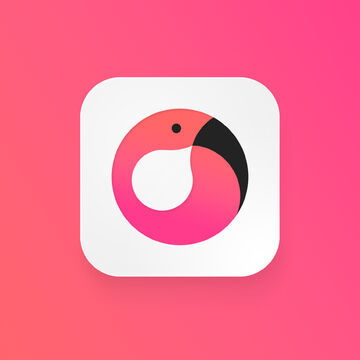 Flamingo Chat // Мессенджер
