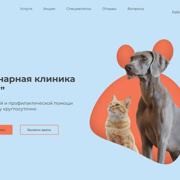 Разработка дизайна сайта для ветеринарной клиники