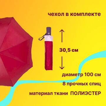 Инфографика. Зонт
