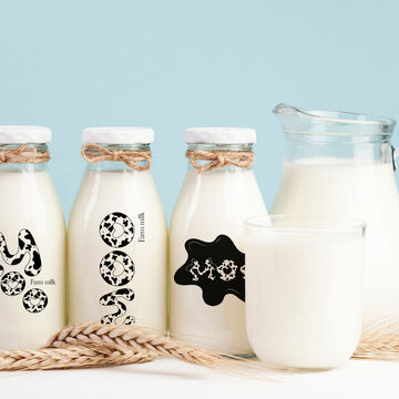 Варианты логотипа для фермерского молока