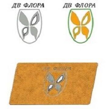 айдентика