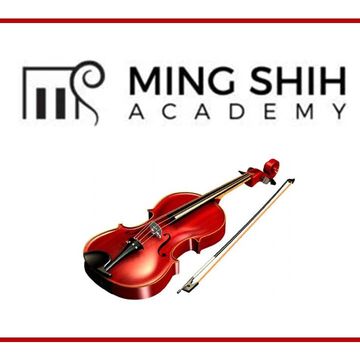 Перевод книги и методики обучения игре на скрипке
