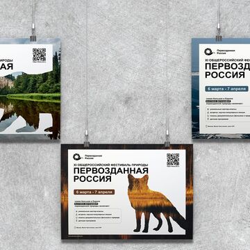 Постеры