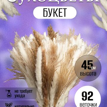 карточка WB сухоцветы