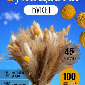 карточка сухоцветы 2