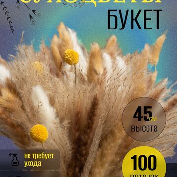 карточка сухоцветы 3