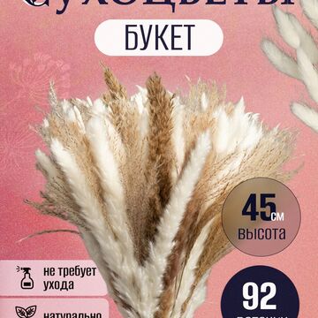 карточка сухоцветы 4
