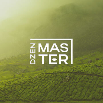 DZEN MASTER