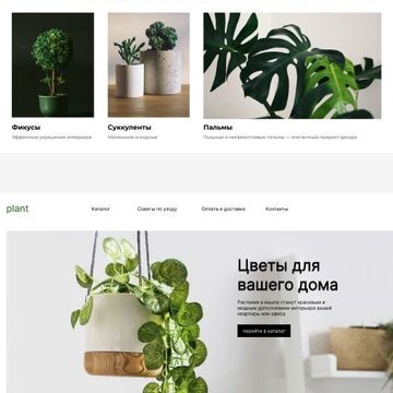 plant