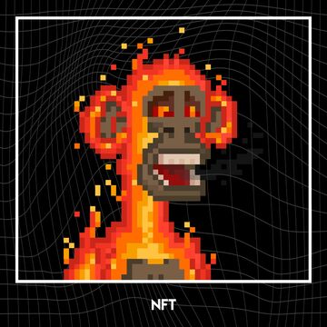 NFT коллекция