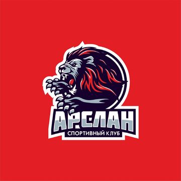 Бойцовский клуб &laquo;Арслан&raquo;