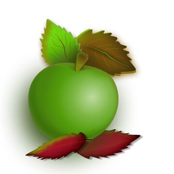 Зеленое яблоко
