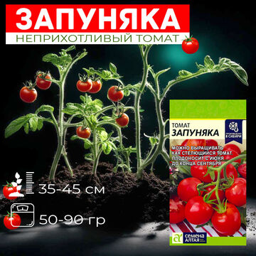 Карточка для Озон #2