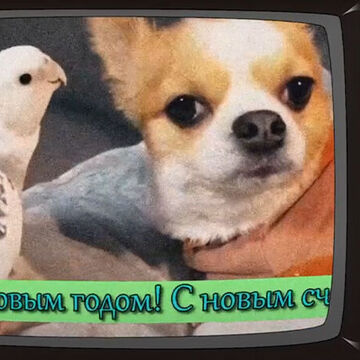 С новым годом!