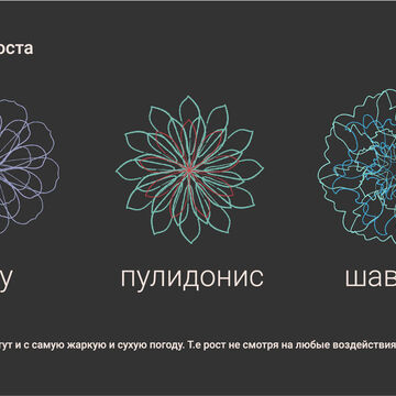 Символы для подкаста