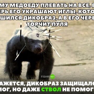 Работа не моя! Но надо же профиль заполнять! Будь как медоед!