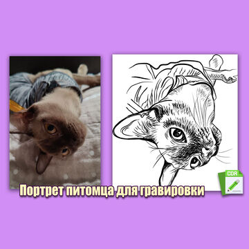 Портрет эскиз в векторе по фото