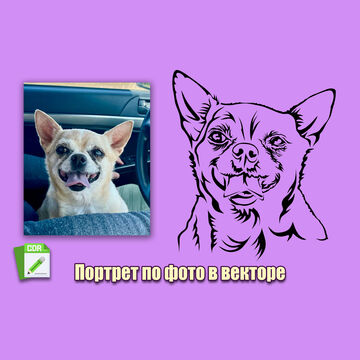 Черно-белый портрет питомца