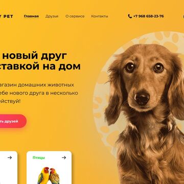 веб дизайн