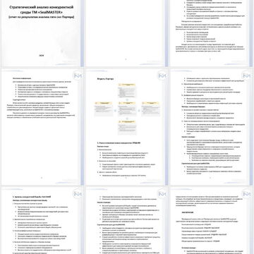 Стратегический анализ конкурентной среды для компании SealMASTER