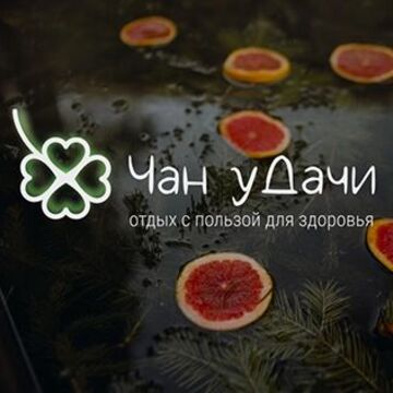 Учебная работа: &quot;Чан уДачи&quot; логотип