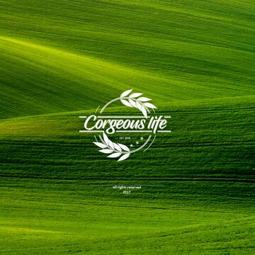 corgeous life