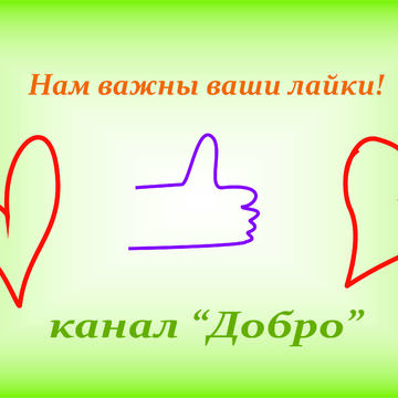 Лайки