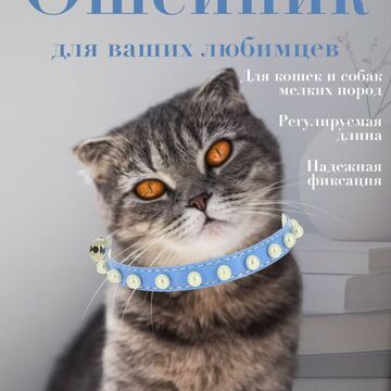 Ошейник
