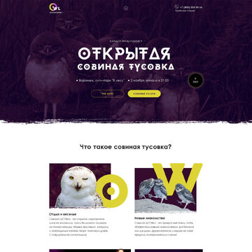 Креативный лэндинг для коуча-совы