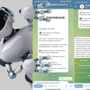 Чат бот сфера услуг