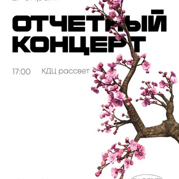 Баннер - афиша, отчётный концерт.