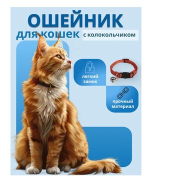 карточка товара 1